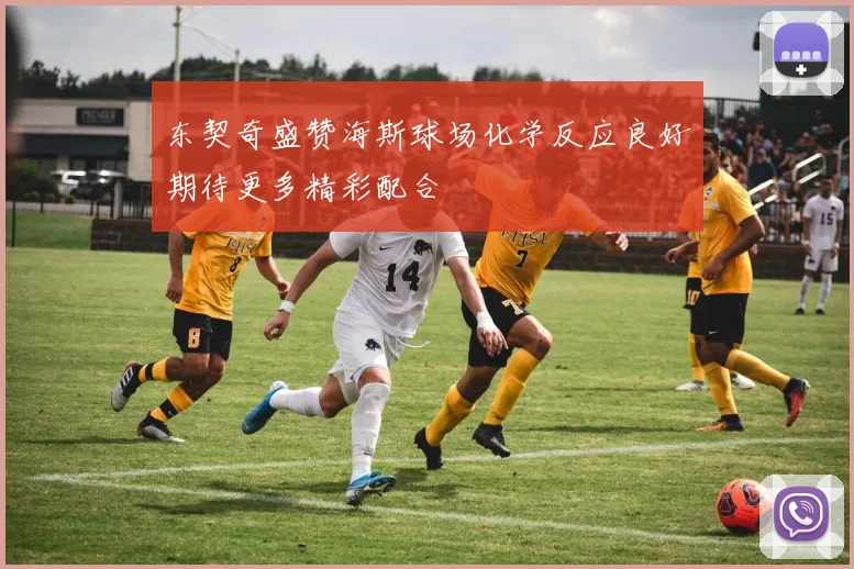 东契奇盛赞海斯球场化学反应良好期待更多精彩配合
