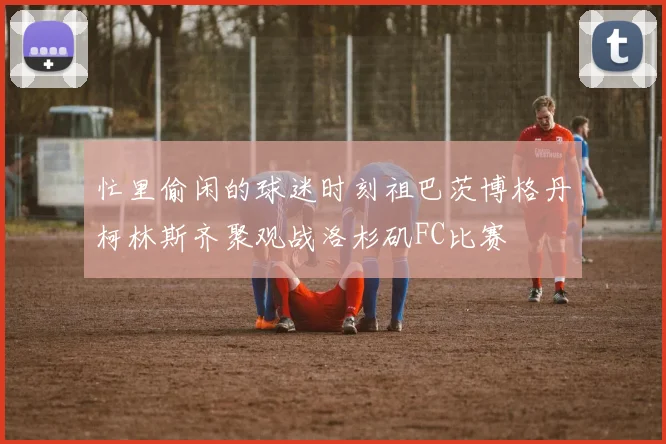 忙里偷闲的球迷时刻祖巴茨博格丹柯林斯齐聚观战洛杉矶FC比赛