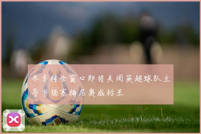 冬季转会窗口即将关闭英超球队主导市场塞梅尼奥成标王