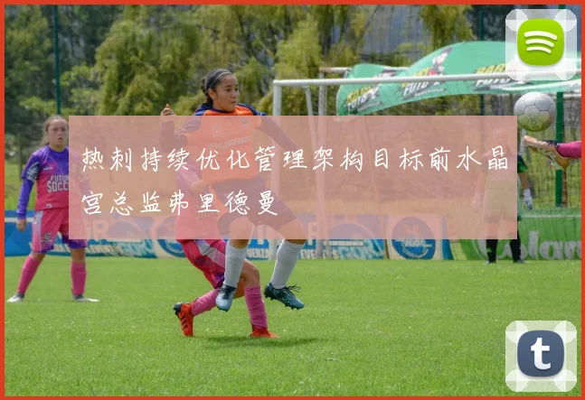 热刺持续优化管理架构目标前水晶宫总监弗里德曼