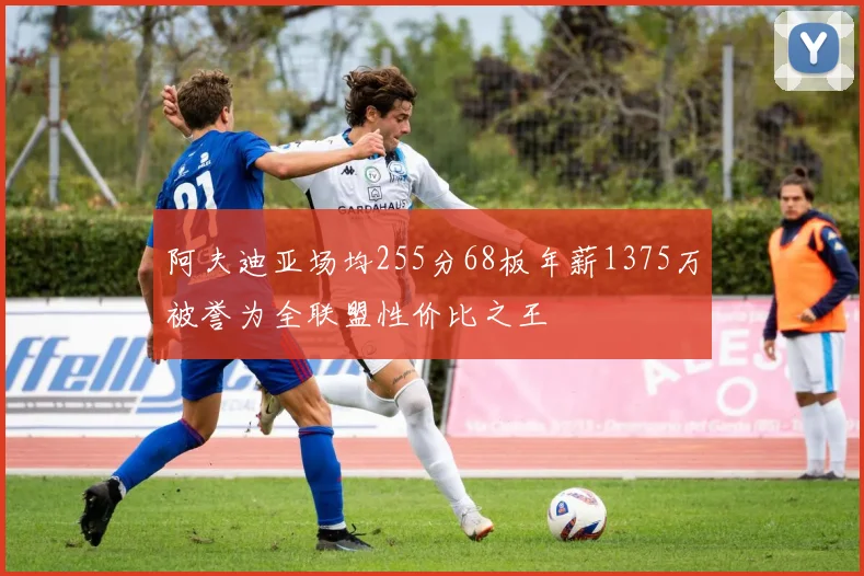 阿夫迪亚场均255分68板年薪1375万被誉为全联盟性价比之王