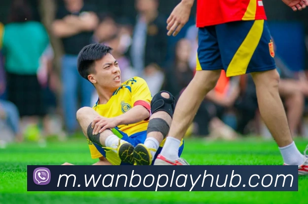 万博体育平台生态图